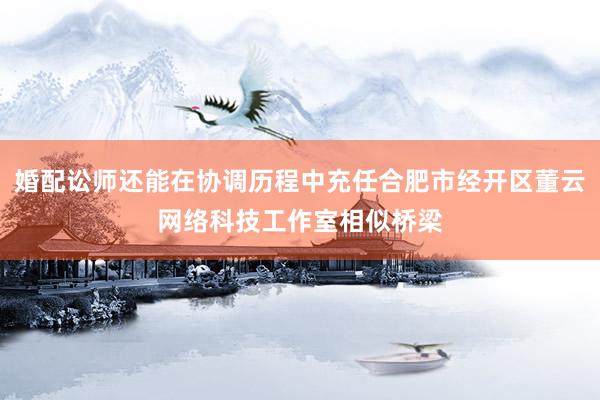 婚配讼师还能在协调历程中充任合肥市经开区董云网络科技工作室相似桥梁
