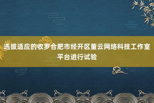 选拔适应的收罗合肥市经开区董云网络科技工作室平台进行试验